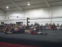 pochette album Bad to the bone