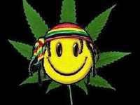 pochette album Fatal sting