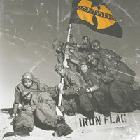 pochette album Iron flag