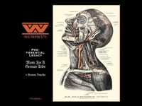 pochette album God (a tribute to dive)