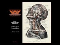 pochette album Sag warum