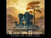 pochette album The tapdancer / gather ye wild (reprise)