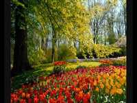 pochette album Testify to love