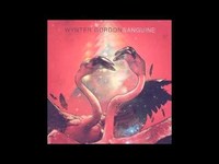 pochette album Levitate