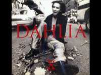 pochette album Dahlia
