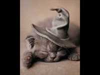 pochette album Sleep