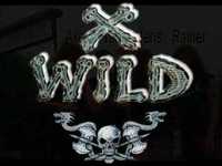 pochette album Scarred to the bone