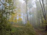 pochette album Don't say goodbye