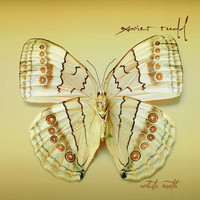 pochette album White moth