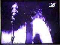 pochette album The order of chaos