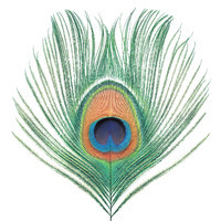 pochette album Greenman