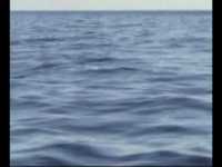 pochette album Quicksilver