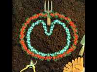 pochette album Some lovely