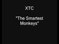 pochette album The smartest monkeys