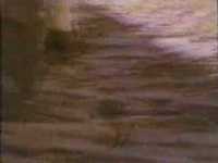 pochette album A day