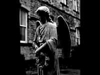 pochette album Stranger