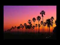 pochette album We run l.a.