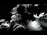 pochette album Forty eight hours