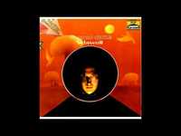 pochette album Voodoo child (freestyle)