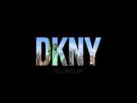 pochette album Dkny
