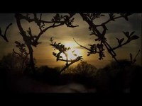 pochette album Abilene