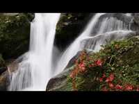 pochette album Take the water to the mountain