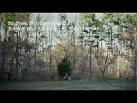 pochette album I ll be around