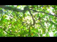 pochette album When it s dark