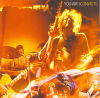 pochette album Friends like you