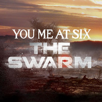pochette album The swarm