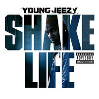 pochette album Shake life