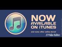 pochette album Morphine moves