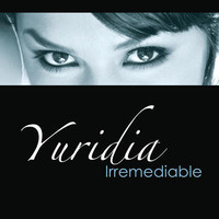 pochette album Irremediable