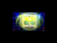 pochette album Shamsia