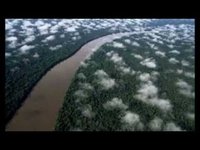 pochette album Amazoniaque