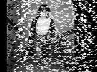 pochette album J't'imagine