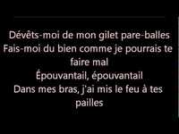 pochette album Indélébile