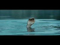 pochette album Le hasard