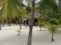 pochette album Drastic