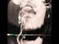 pochette album Won't let you down