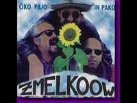 pochette album Sergio