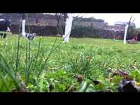 pochette album Darling