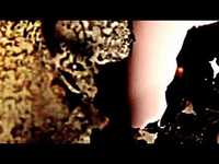 pochette album Overdue